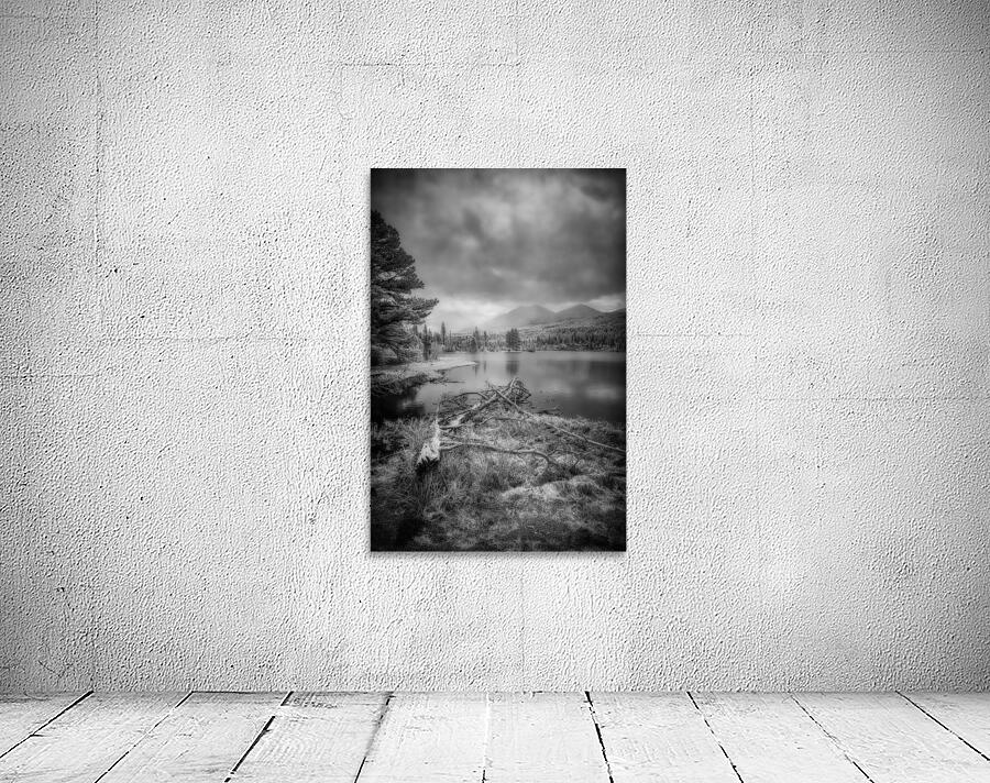 Fallen Sentinels: Rocky Mountain National Park Wall Preview