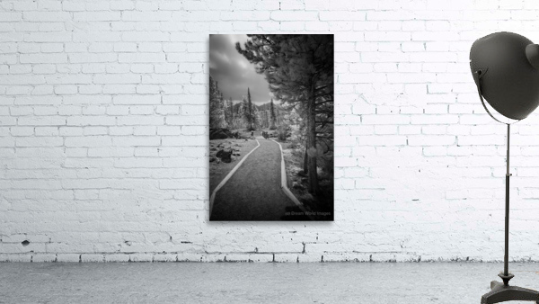 Sprague Lake Path Wall Preview