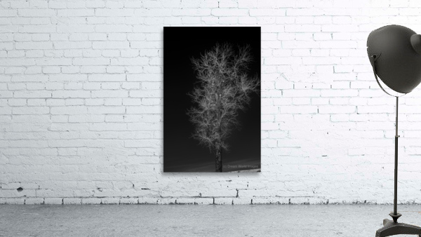 Winters Neural Network Wall Preview