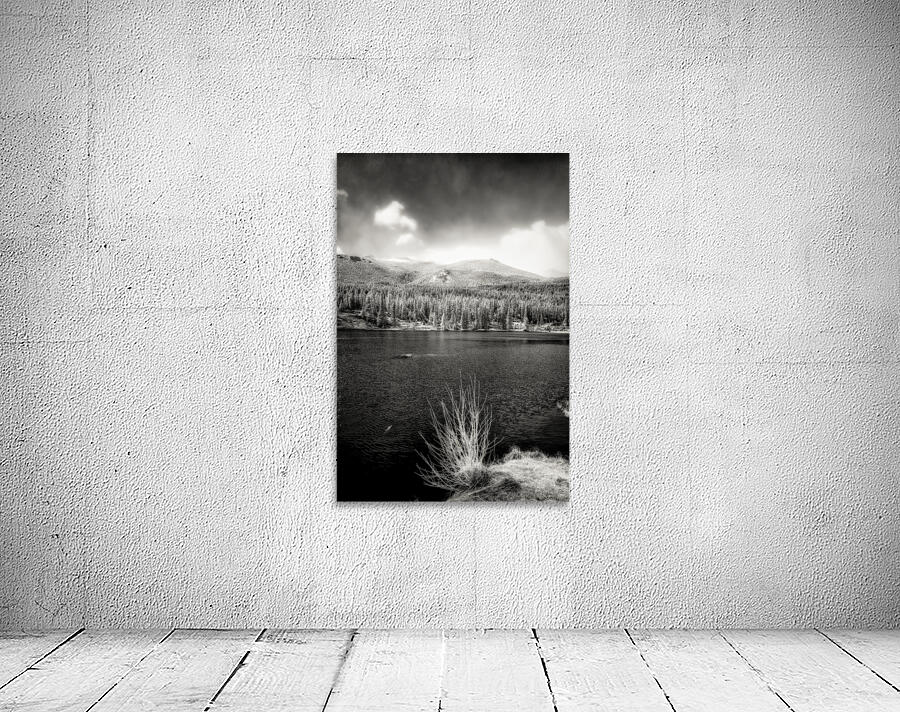 Whispers in the Wilderness: Sprague Lake Wall Preview