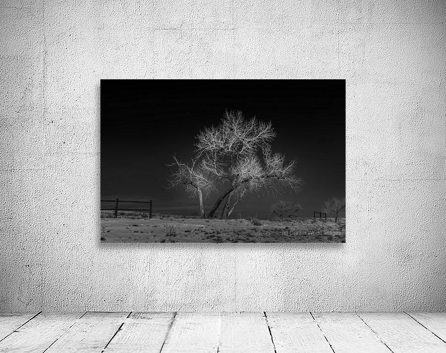 Mile-High Luminescence Wall Preview