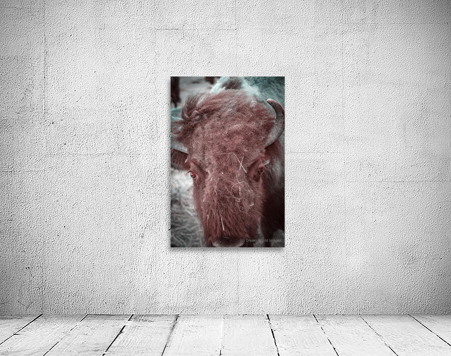 Unkempt Elegance Wall Preview