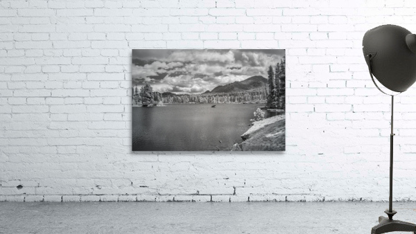 Wild Harmony - A Journey into Natures Beauty Wall Preview