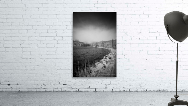 Shoreline Vista: Sprague Lake Wall Preview