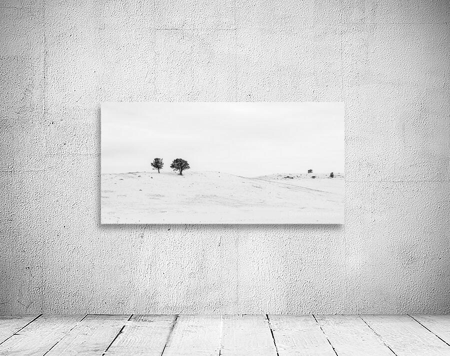 Winters Elegance: A High Key at Flatirons Trailhead Wall Preview