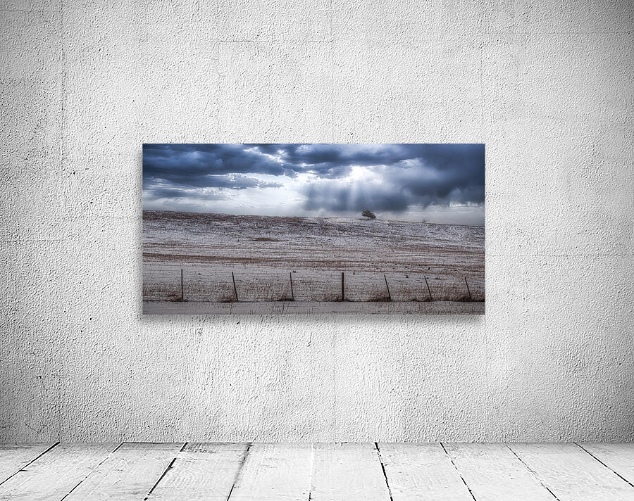 Winters Solitude in Colorado Wall Preview