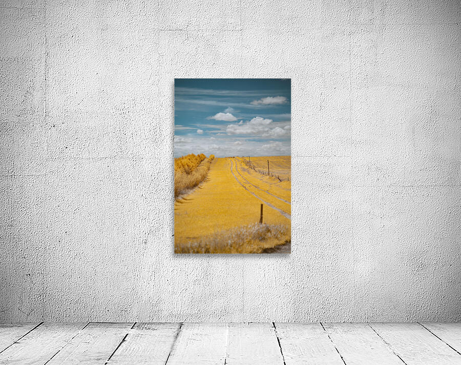 Nebraska Farm Lane - 3 Wall Preview