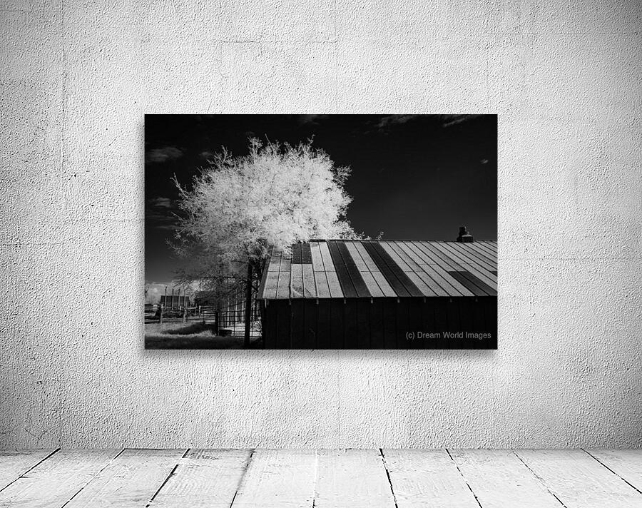 Nebraska Farm - 29 Wall Preview