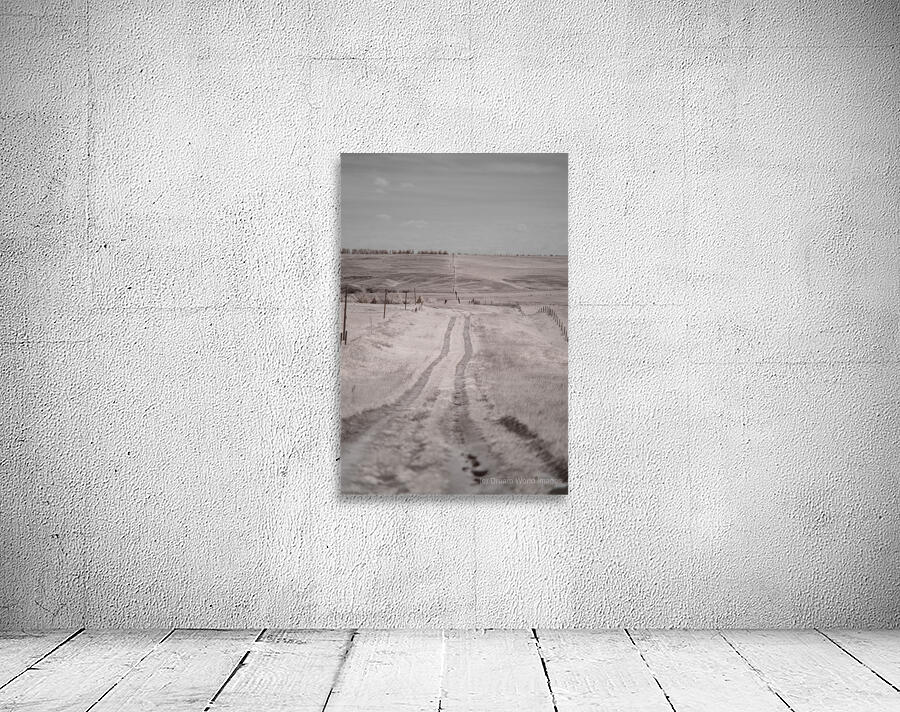 Nebraska Farm Lane -1  Wall Preview