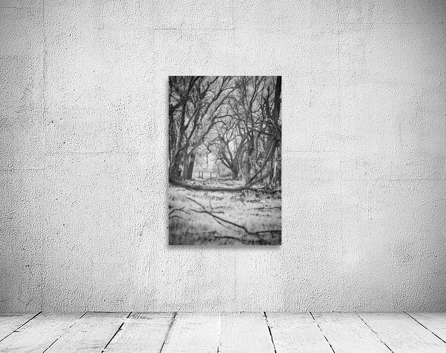 Nebraska Farm - 21 Wall Preview