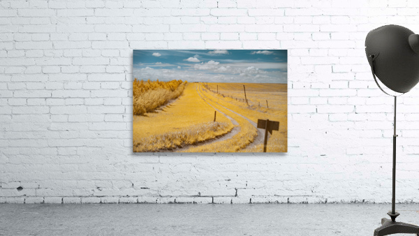 Nebraska Farm Lane - 2 Wall Preview