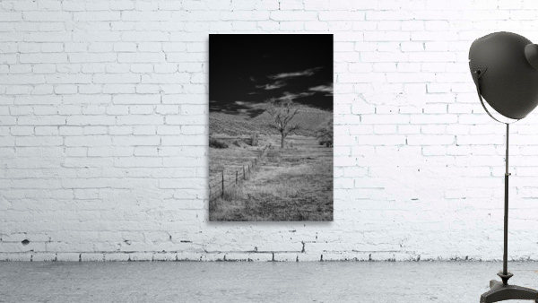 Whispers of Isolation in Monochrome Wall Preview