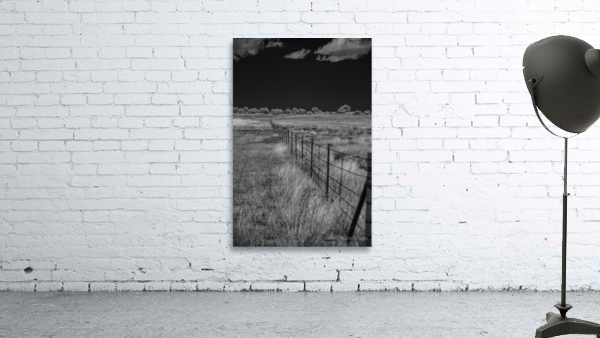 Fenceline Whisper in Monochrome Wall Preview