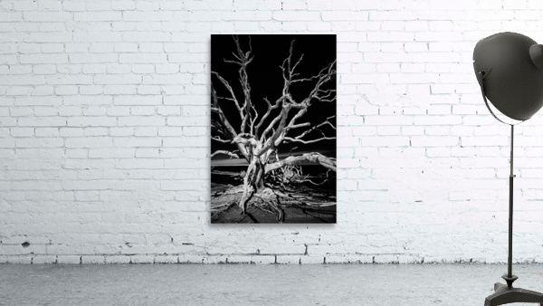 Fingers Wall Preview