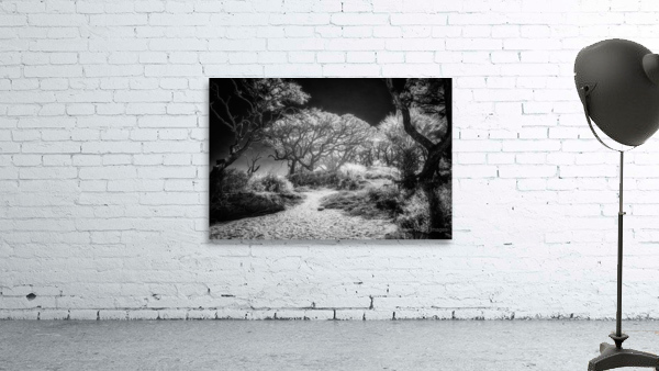 Island Path Wall Preview