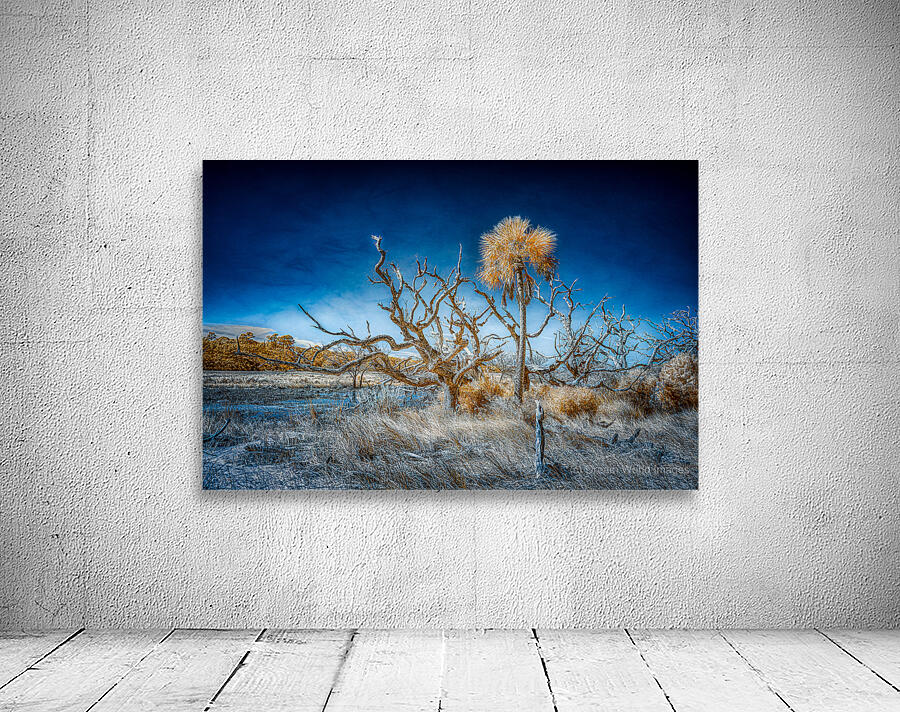 Isolated Serenity: Rows End Wall Preview