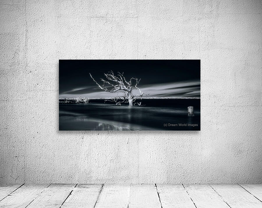 Ancient Tides Wall Preview