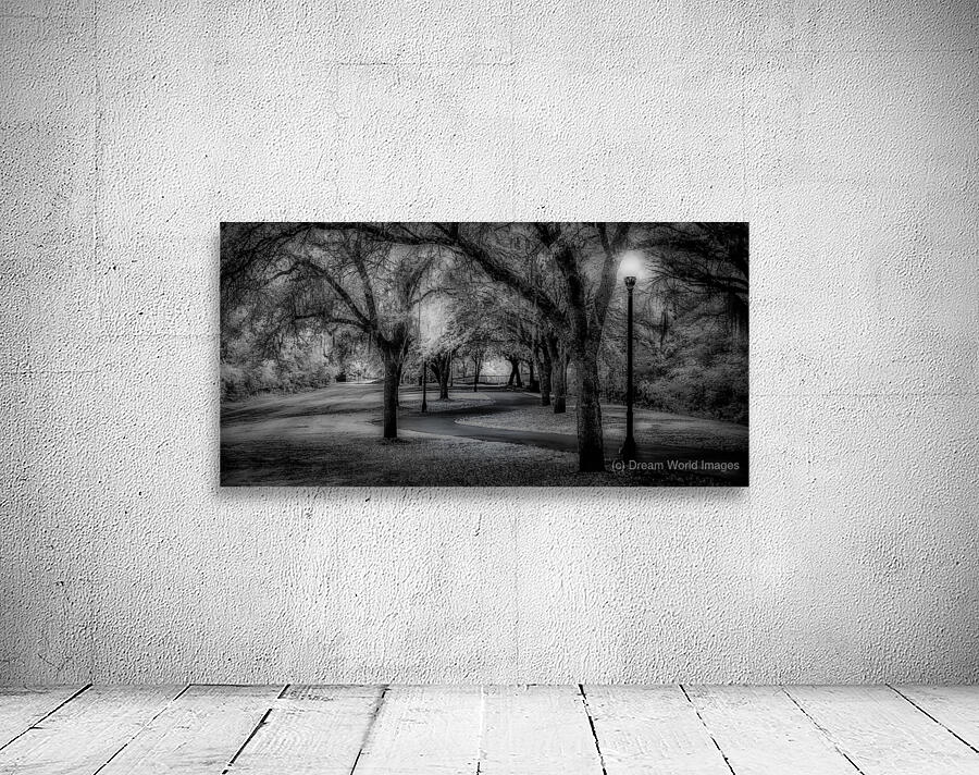 Curvy Dusk Walkway Wall Preview