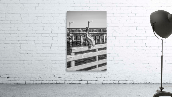 Oceans Guardian: Black and White Infrared Capture of Pelican on Saint Simons Island Pier Wall Preview
