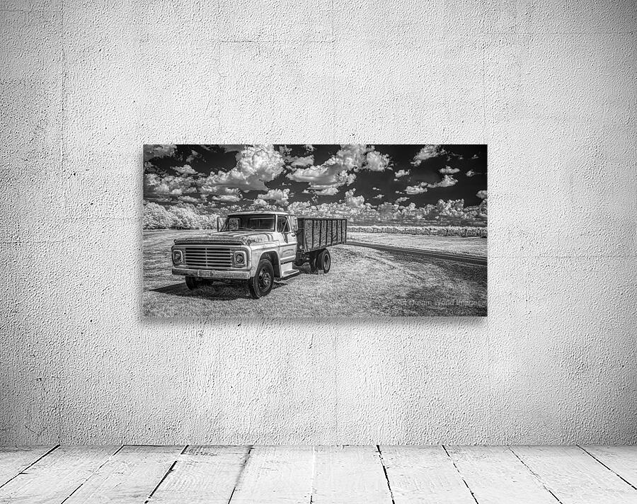 Vineyard Harmony: A Southern Georgia Winery Adventure Wall Preview