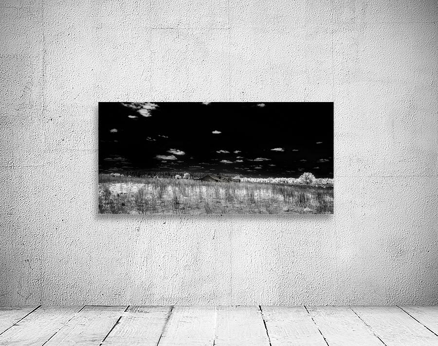 Forgotten Georgia Barn Wall Preview