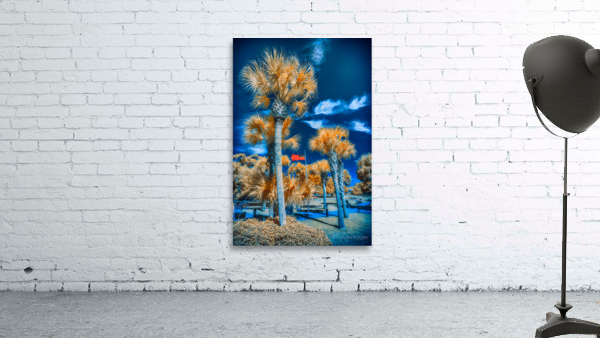 Neptune Park Oasis: A Pictorial Tale of Saint Simons Island Bliss Wall Preview