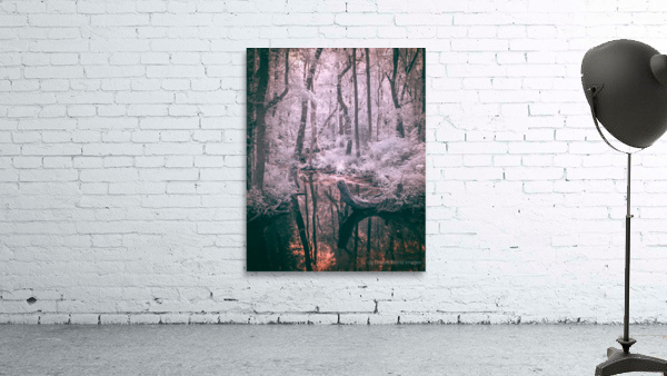 Whispering Woods: Exploring the Enchantment of Abbots Mill Wall Preview