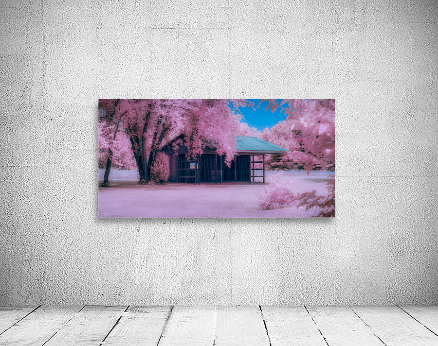 Infrared Delaware Barn Wall Preview