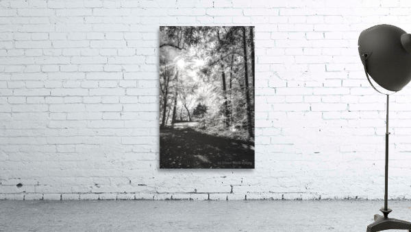 Roasted Road Wall Preview