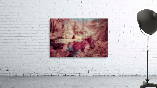 Pink Swamp Wall Preview