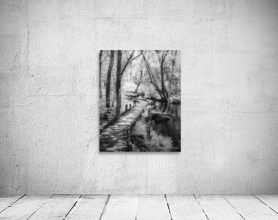 Woodland Whisper from Delawares Heart Wall Preview