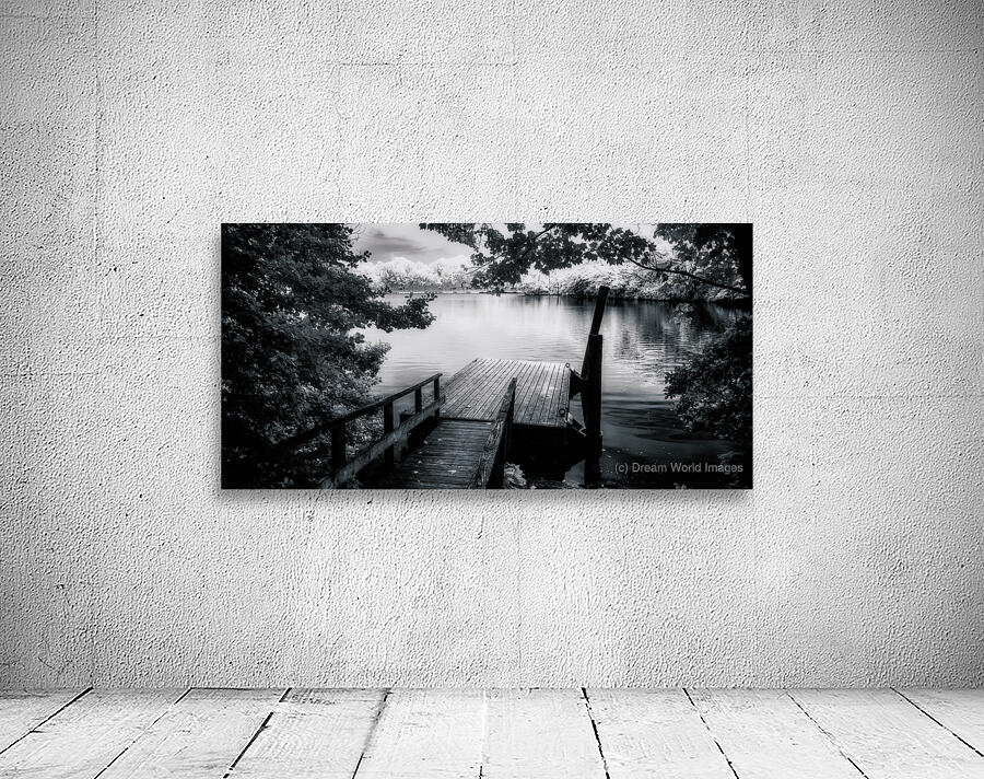 Monochrome Serenade: Abbotts Pond Delaware Wall Preview