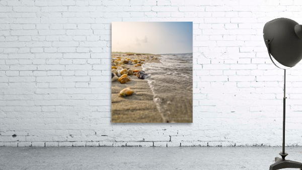 Shoreline Serenade Wall Preview