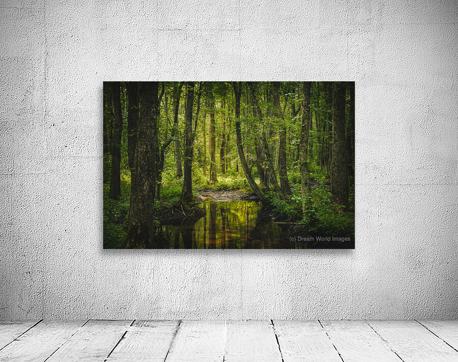 Swampish Wall Preview