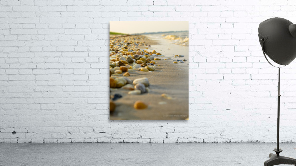 Peebles by the Shore: Slaughter Beach Delaware Wall Preview