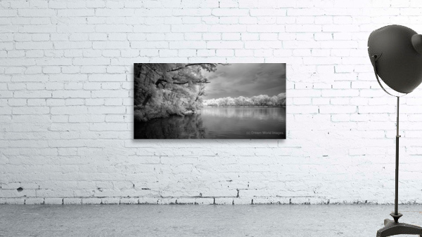 Infrared Killens Wall Preview