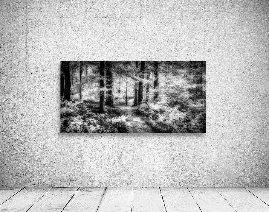 Killens Path: Serene Infrared Passage Wall Preview