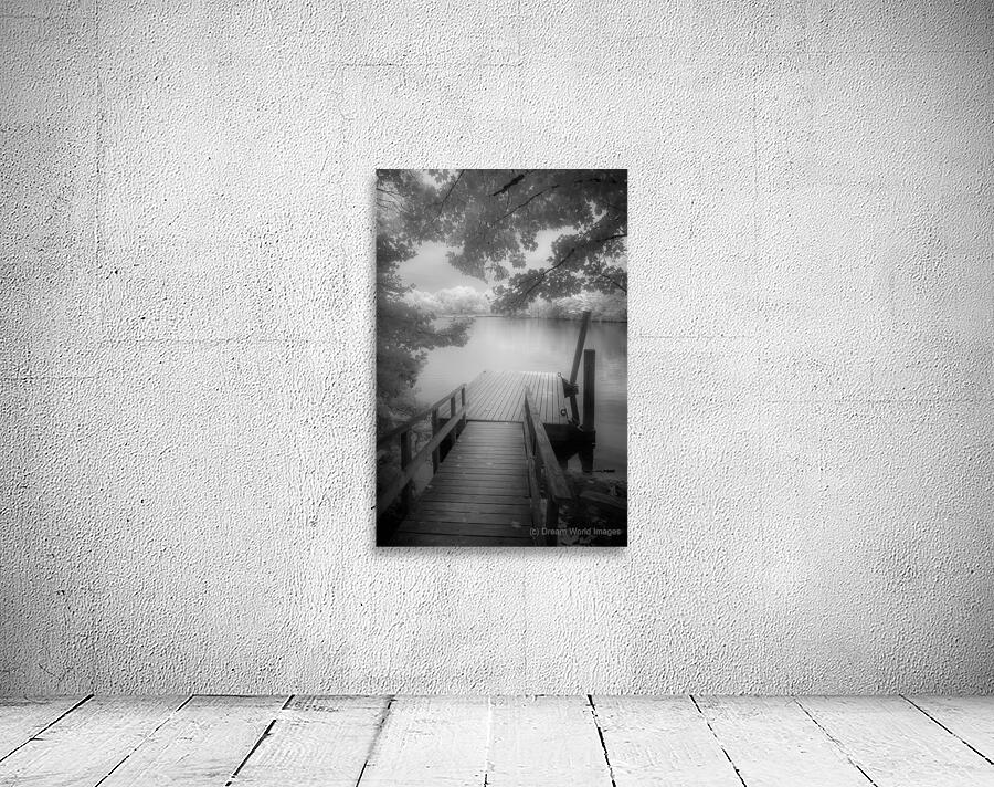 Stillness Captured: Abbotts Pond Wall Preview