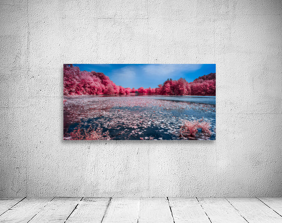 Ruby Pond Wall Preview