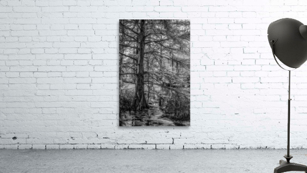 Louisiana Cypress Wall Preview