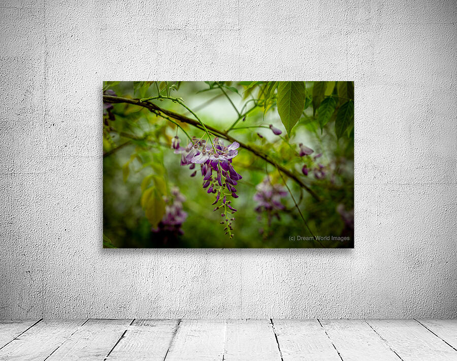 Purple Flowers Hanging Down Wall Preview