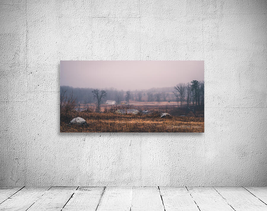 Chestnut Wall Preview