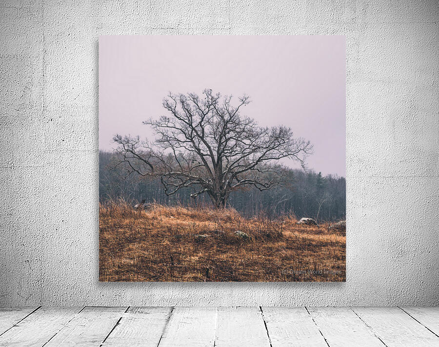 Over the Hill Wall Preview