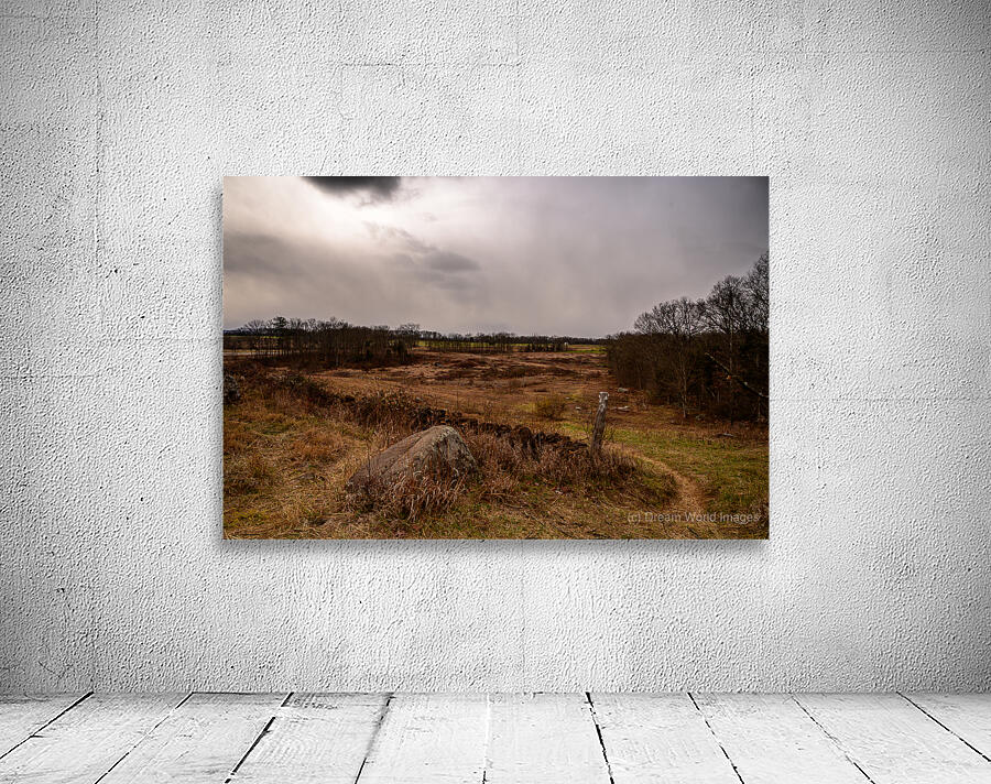 Triangular Fields Path Wall Preview