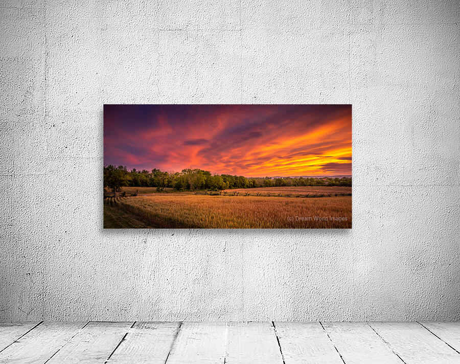 Sunset along a fence Wall Preview