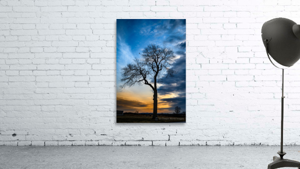 Winters Last Light Wall Preview