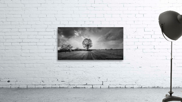 Majestic Solitude: An Evening Ride Through History Wall Preview