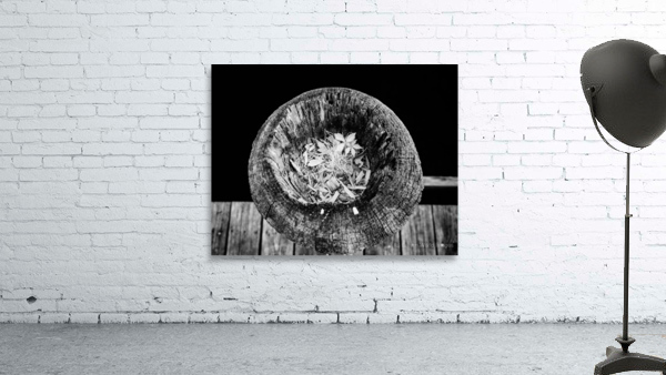 Echoes Within Wood Wall Preview