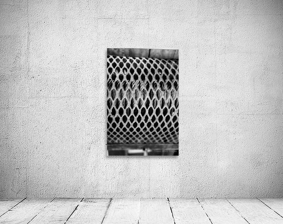 Monochrome Marine Mysteries: Up Close & Personal Wall Preview