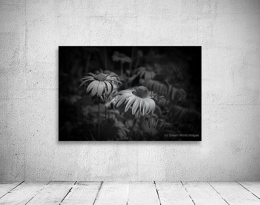 Loris Flowers - 2 Wall Preview